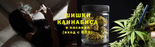 гидра Волоколамск