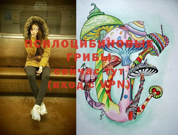 гидра Волоколамск